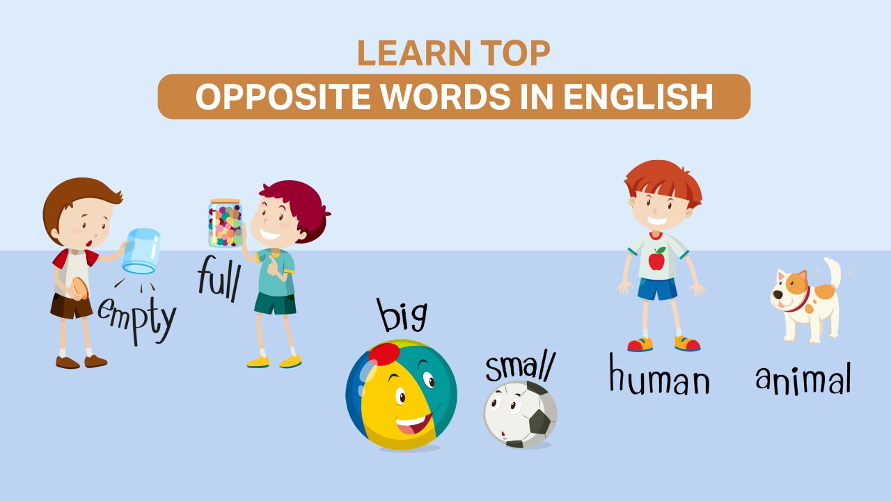 You are currently viewing Learn Top Opposite Words in English